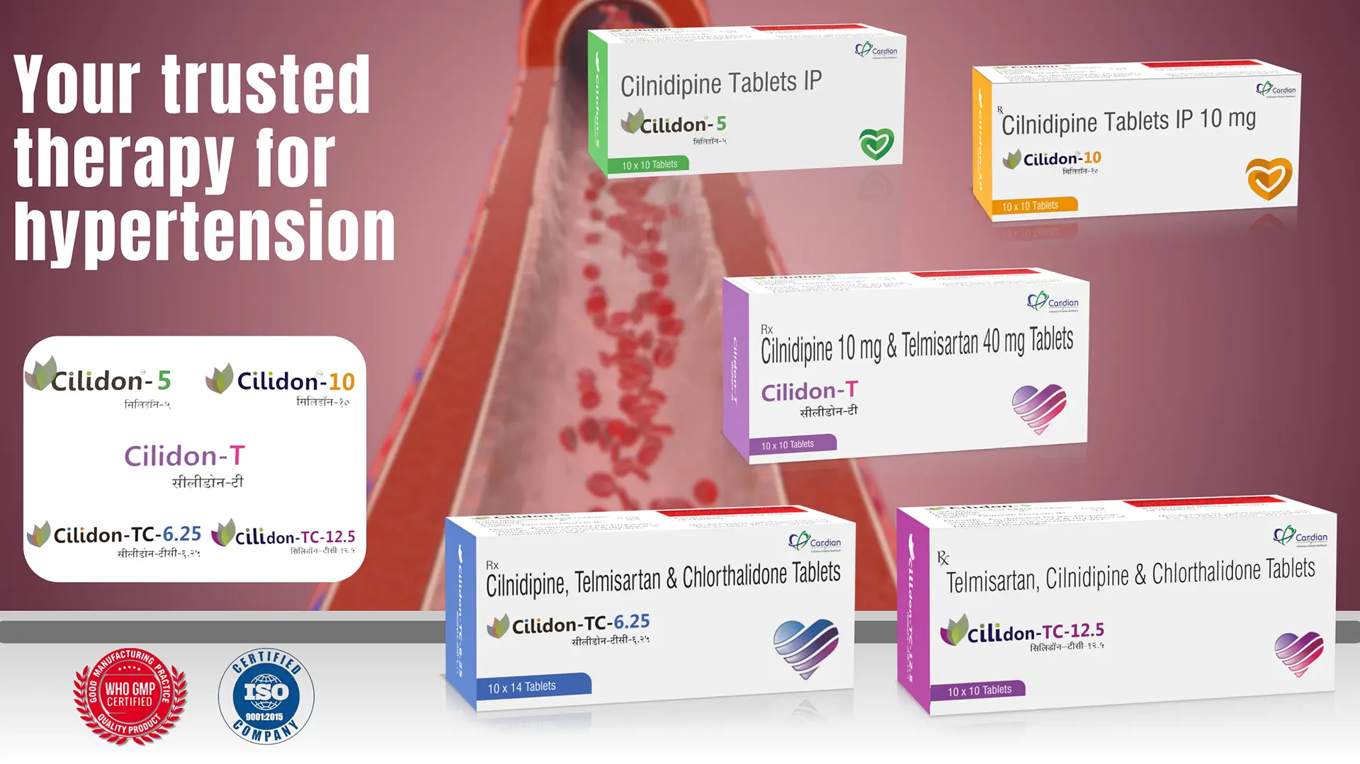 cardiac diabetic products franchise